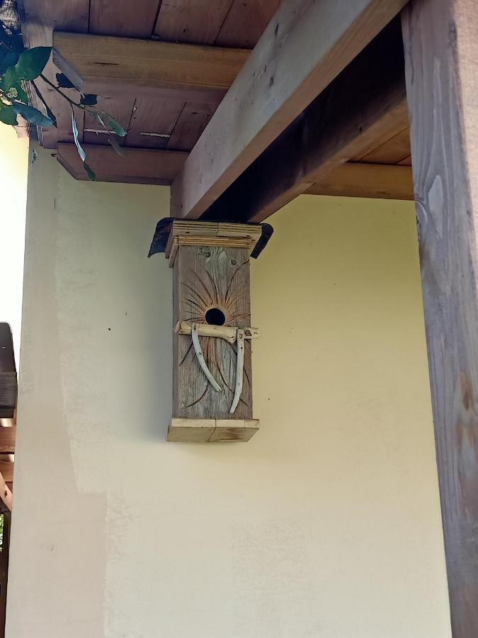 Agriturismo Il Cipresso Vada Exterior foto