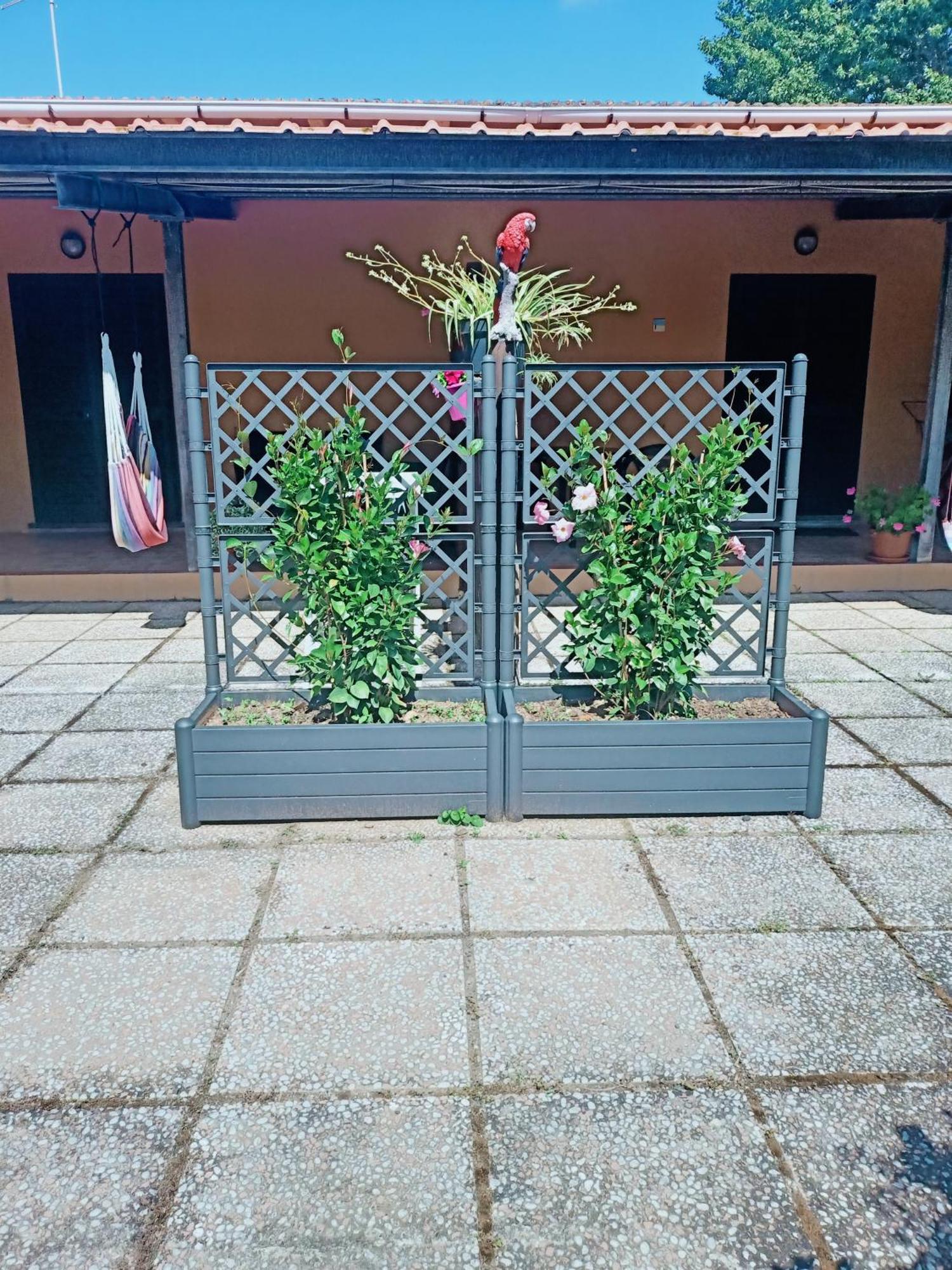 Agriturismo Il Cipresso Vada Exterior foto