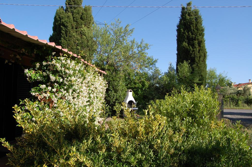 Agriturismo Il Cipresso Villa Vada Exterior foto